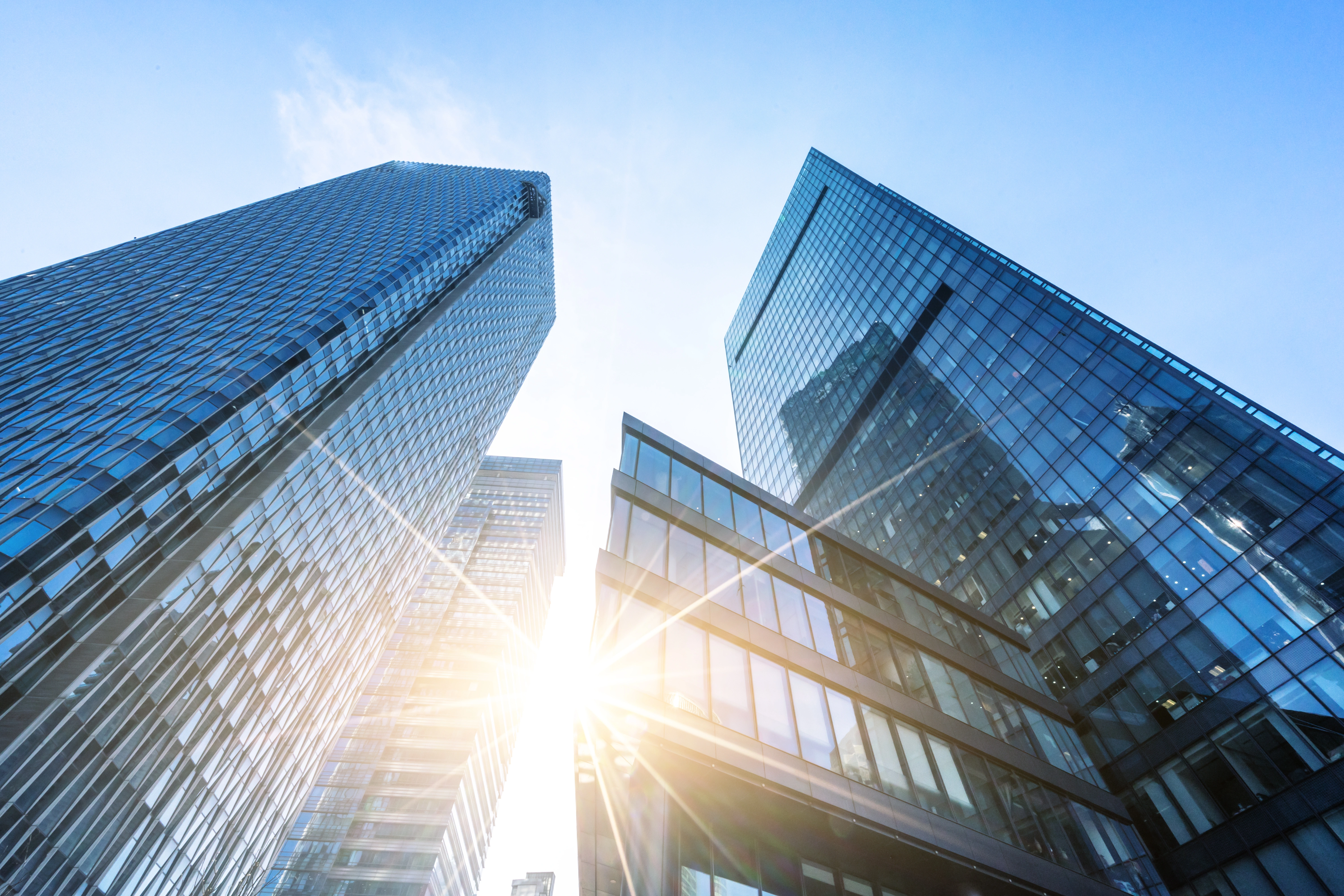 Enterprises & AMCs